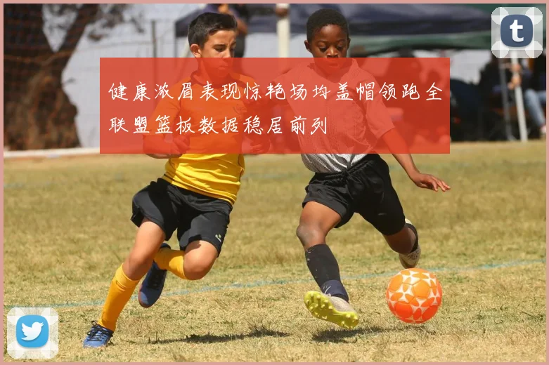 健康浓眉表现惊艳场均盖帽领跑全联盟篮板数据稳居前列