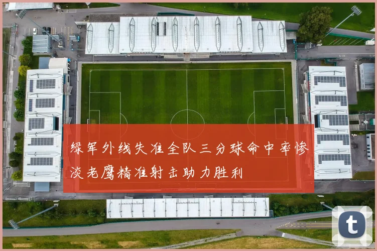 绿军外线失准全队三分球命中率惨淡老鹰精准射击助力胜利
