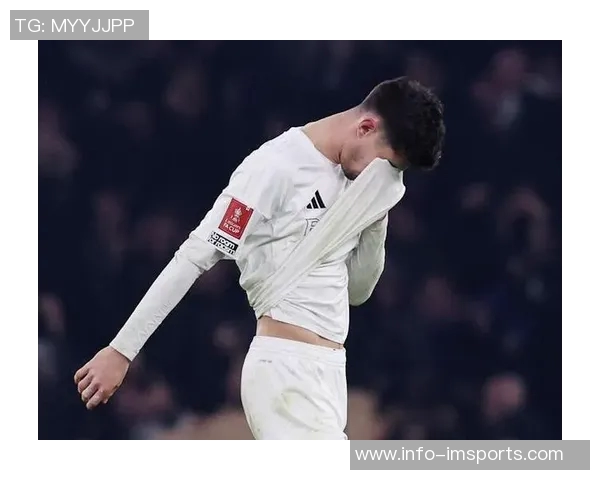 哈弗茨伤缺两月后预计12月复出下月将开始恢复训练